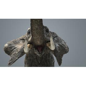 3D model Elephant-Maya-Animated